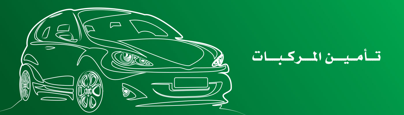 تأمين المركبات الخاصة